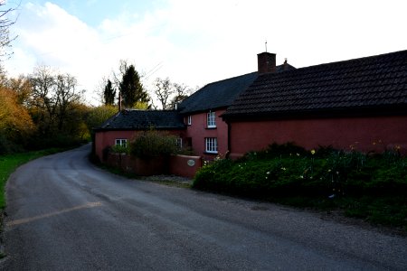 2021-04-10_Woodbury_Salterton_02