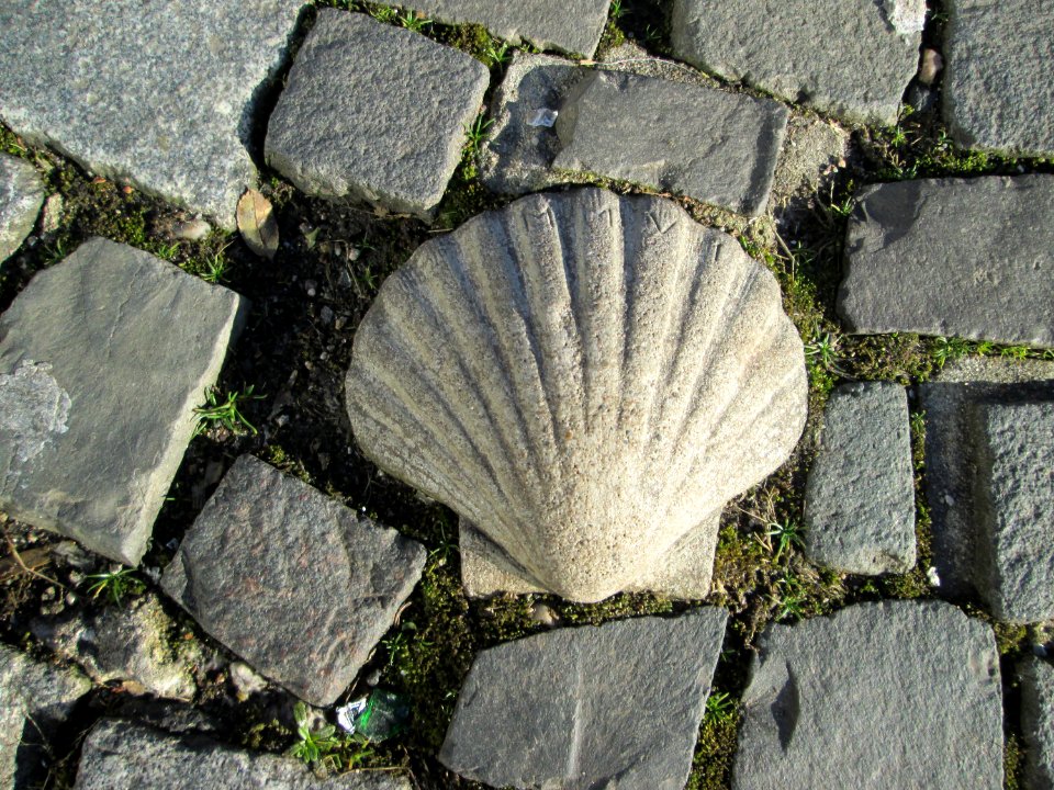 20200115Ludwigsplatz_Saarbrücken5