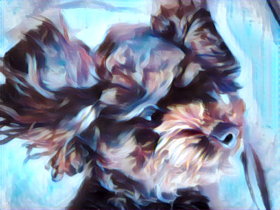2021-03-22_22.11.10_poodle_ggomi