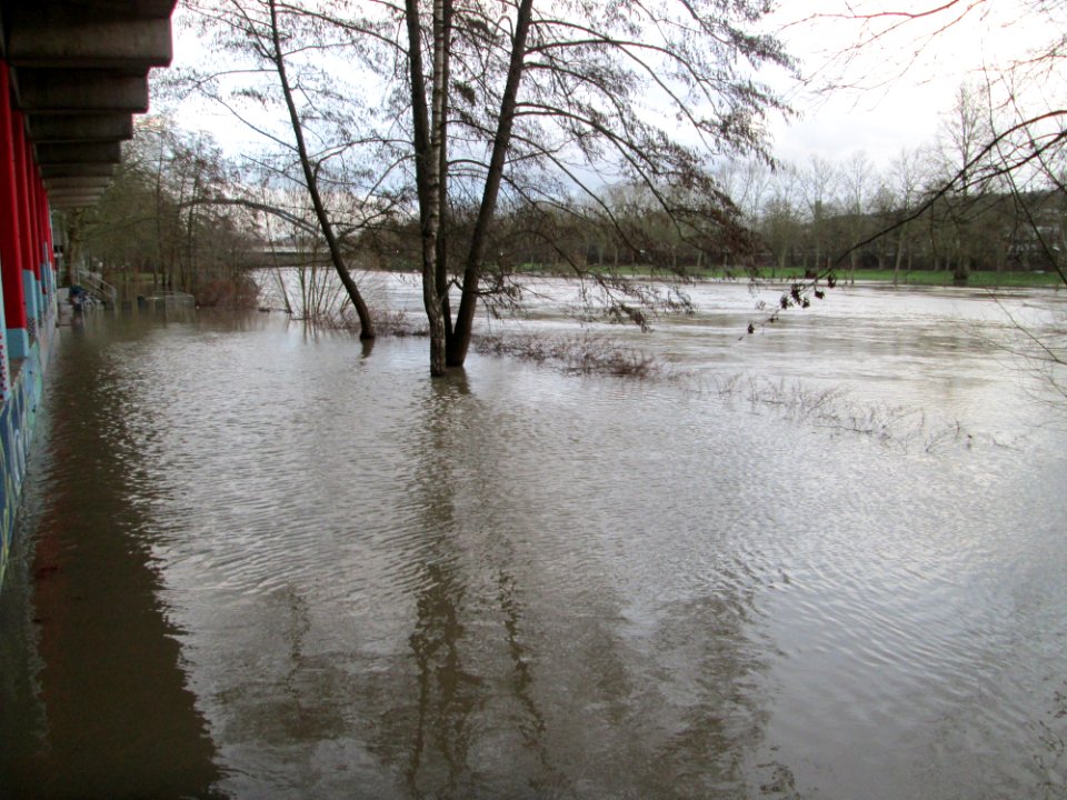 20200204Saarhochwasser02