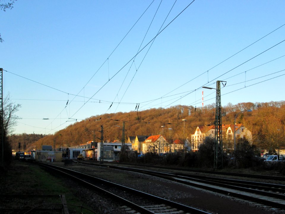 20200205Halberg