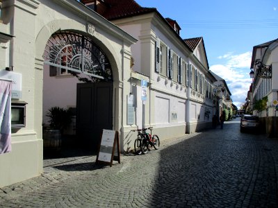 20201011Weinstraße_57_Forst2