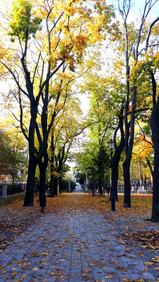 20201024_115422_Park_Sienkiewicza_in_Łódź