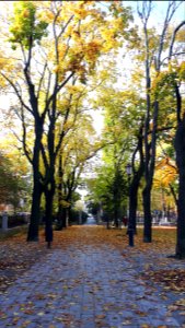 20201024_115422_Park_Sienkiewicza_in_Łódź