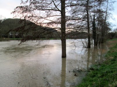 20200204Saarhochwasser06