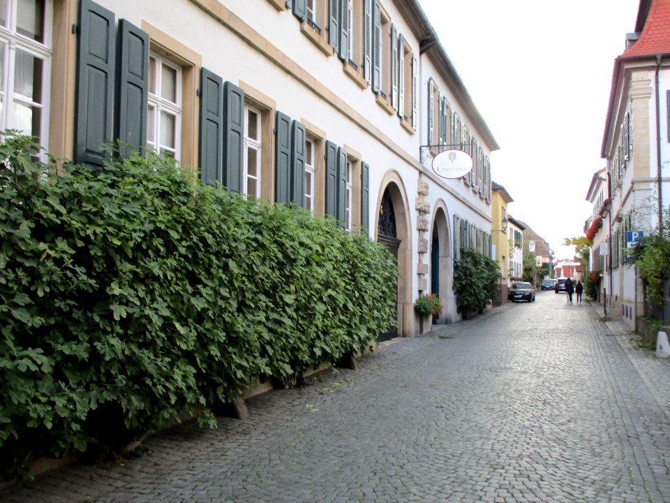 20201011Weinstraße_54-55_Forst