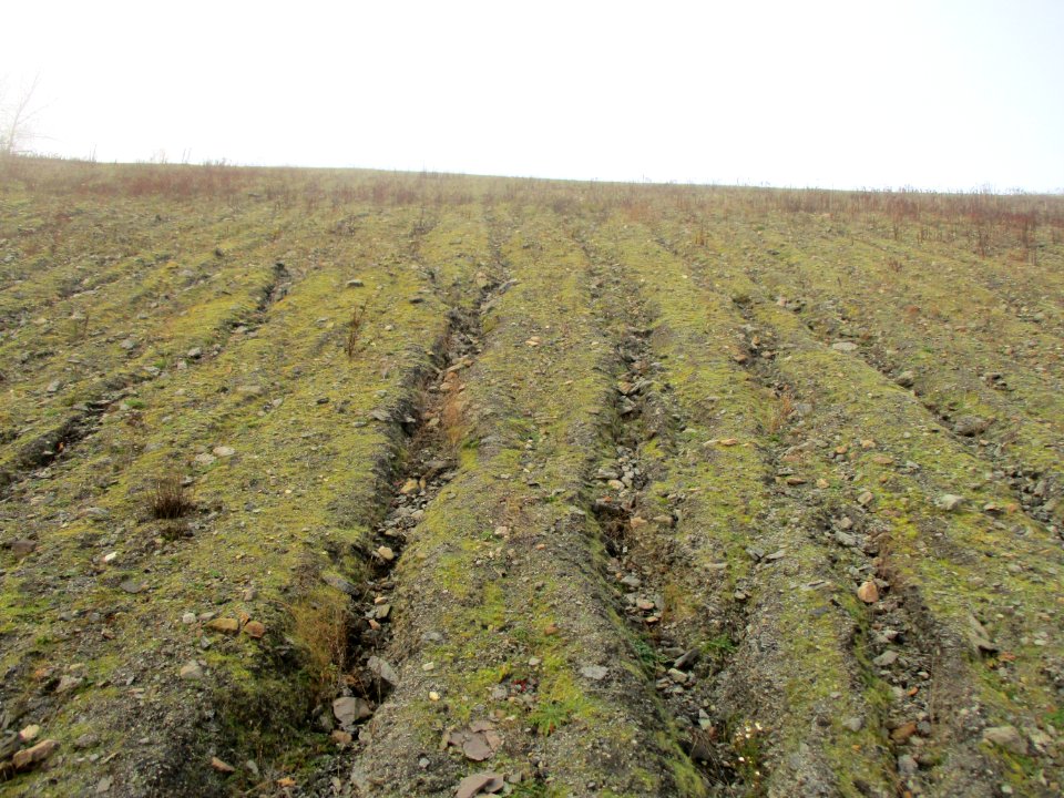 20201127Bergehalde_Göttelborn04