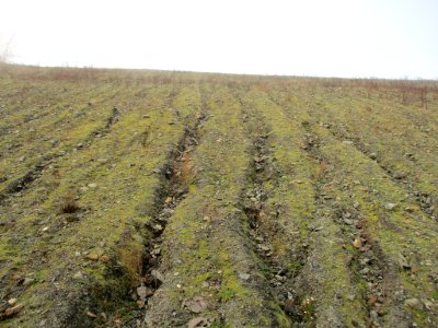20201127Bergehalde_Göttelborn04