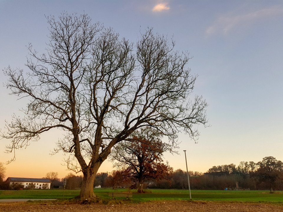 20201114_ND_Osterwies_AÖ3