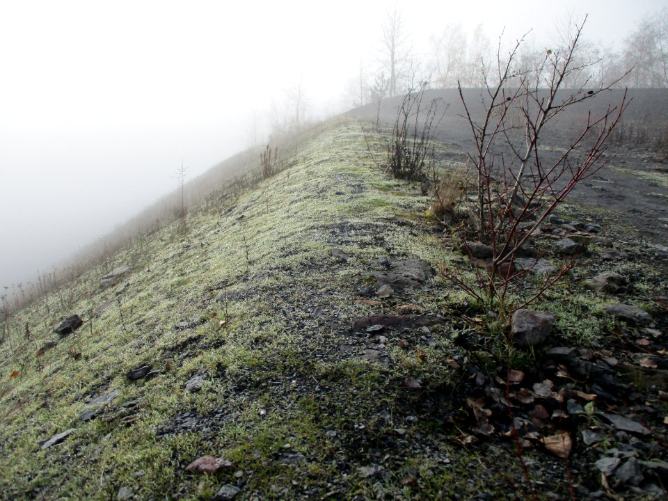 20201127Bergehalde_Göttelborn02