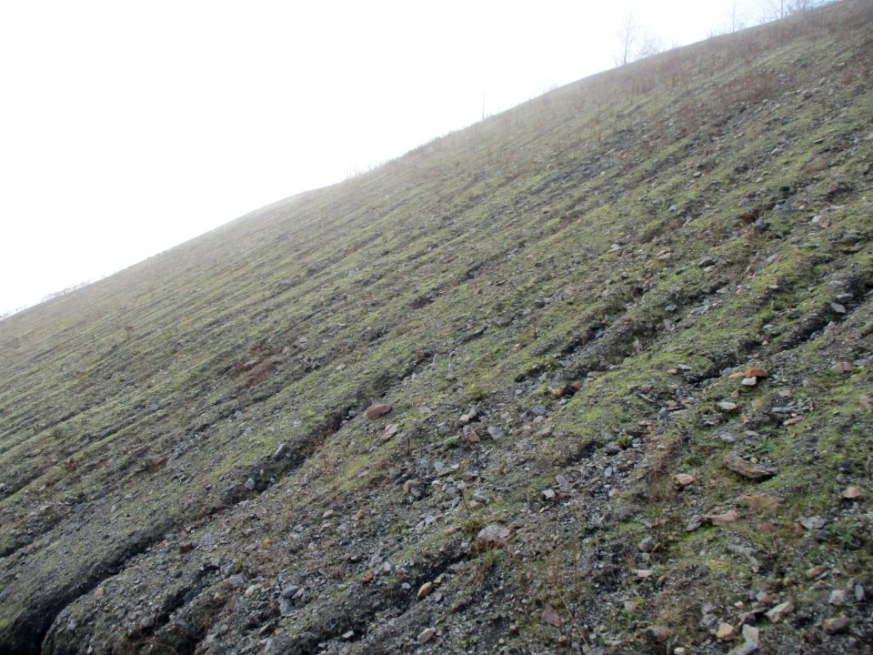 20201127Bergehalde_Göttelborn05
