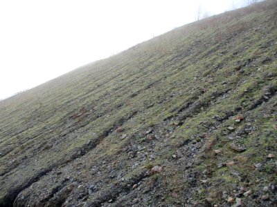 20201127Bergehalde_Göttelborn05