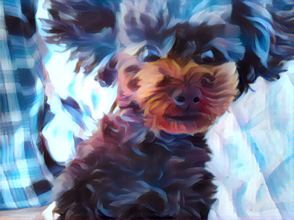 2021-03-22_17.52.10_poodle_ggomi