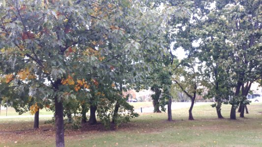 20201004_140157_Jadwiga_Dziekońska_Park_in_Białystok