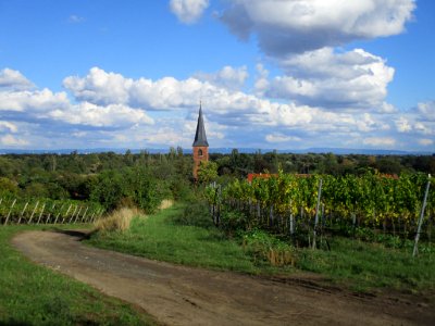20201010Kirchenstück_Forst2