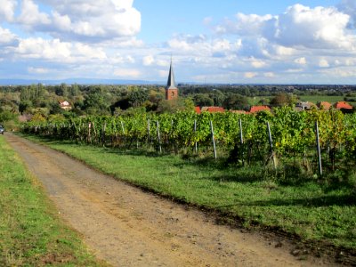20201010Kirchenstück_Forst1