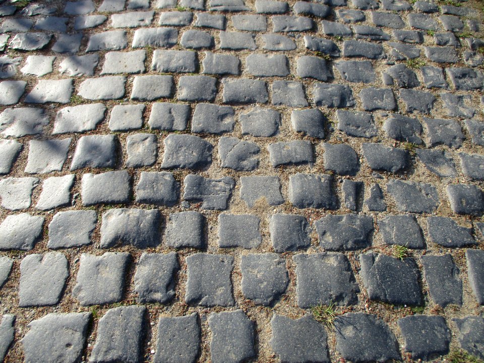 20201010Freundstückweg_Forst2