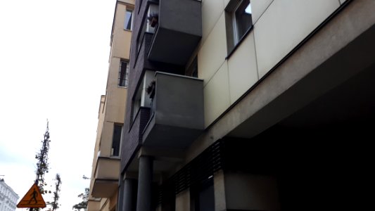 20201010_164705_Sienkiewicza_Street_in_Łódź