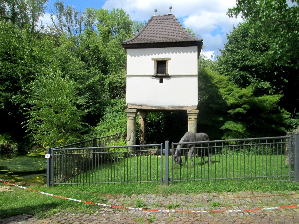 20200815Gräfinthal10