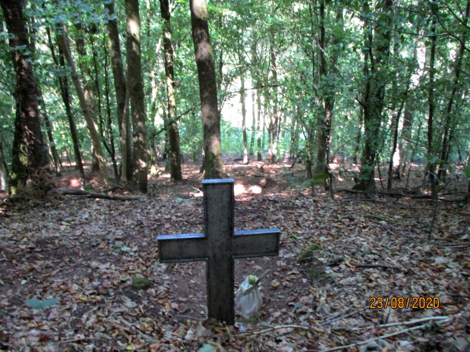 20200823Stiftswald_St_Arnual01