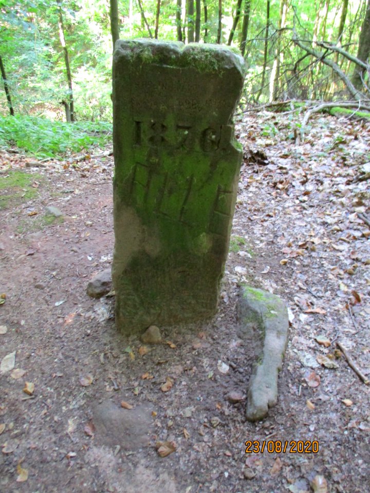 20200823Stiftswald_St_Arnual03