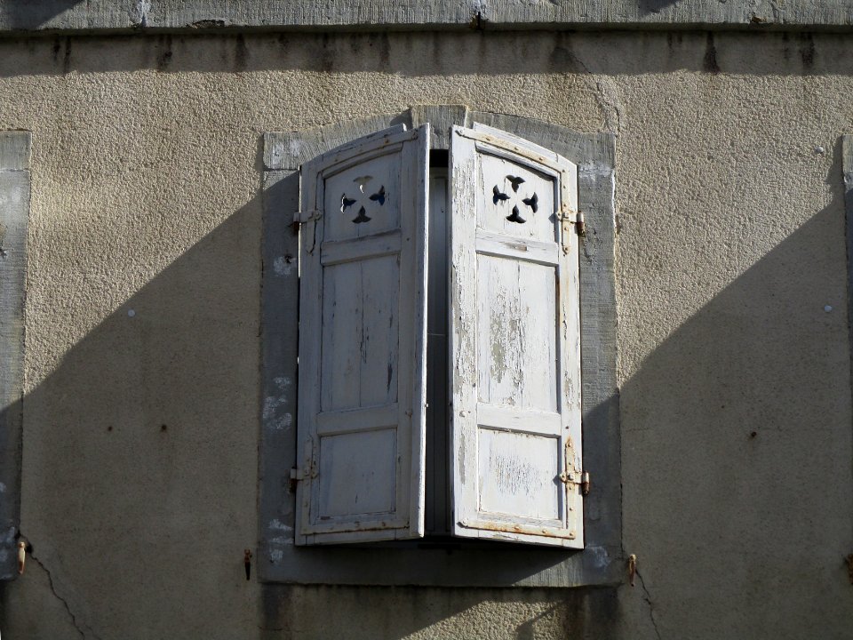 20201011Weinstraße_68_Forst3