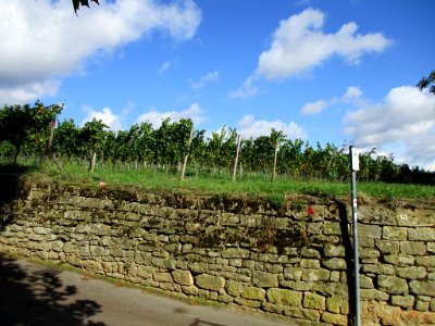 20201010Grainhübel_Deidesheim2