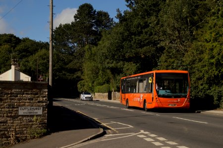 20200807_Yorkshire_Tiger_719