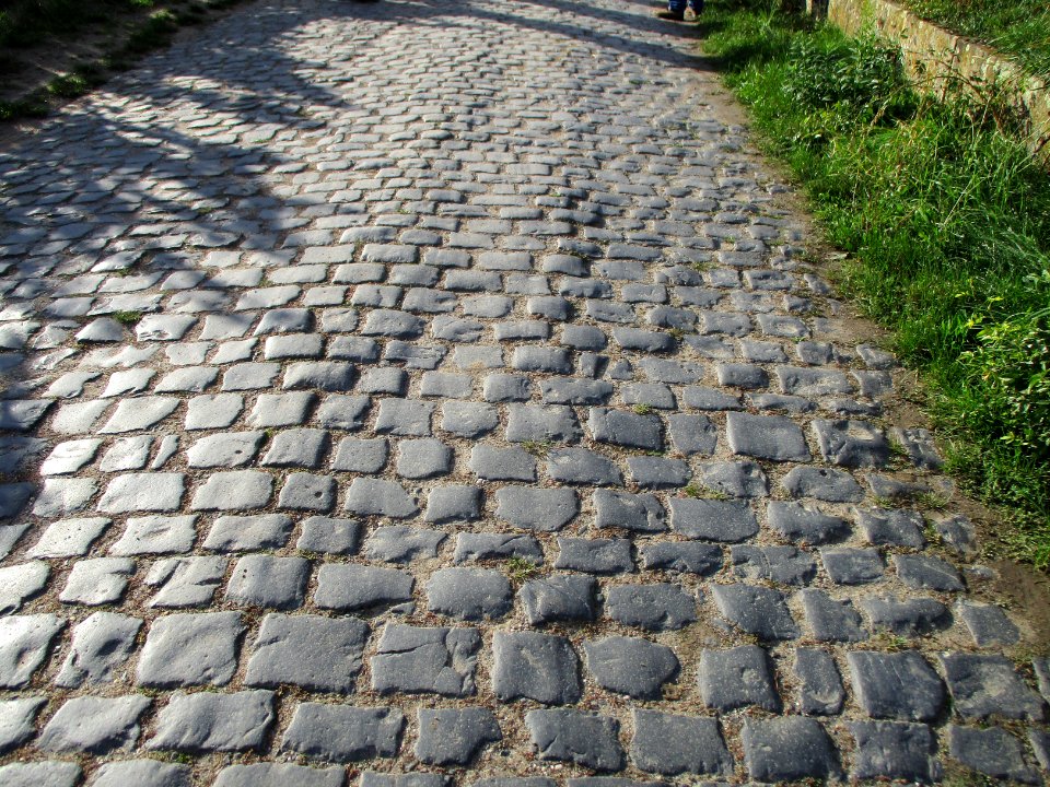 20201010Freundstückweg_Forst1