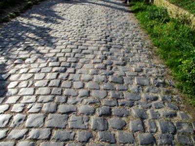 20201010Freundstückweg_Forst1