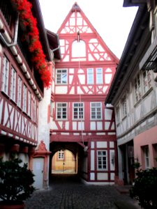 20201011Steinhäuser_Hof3