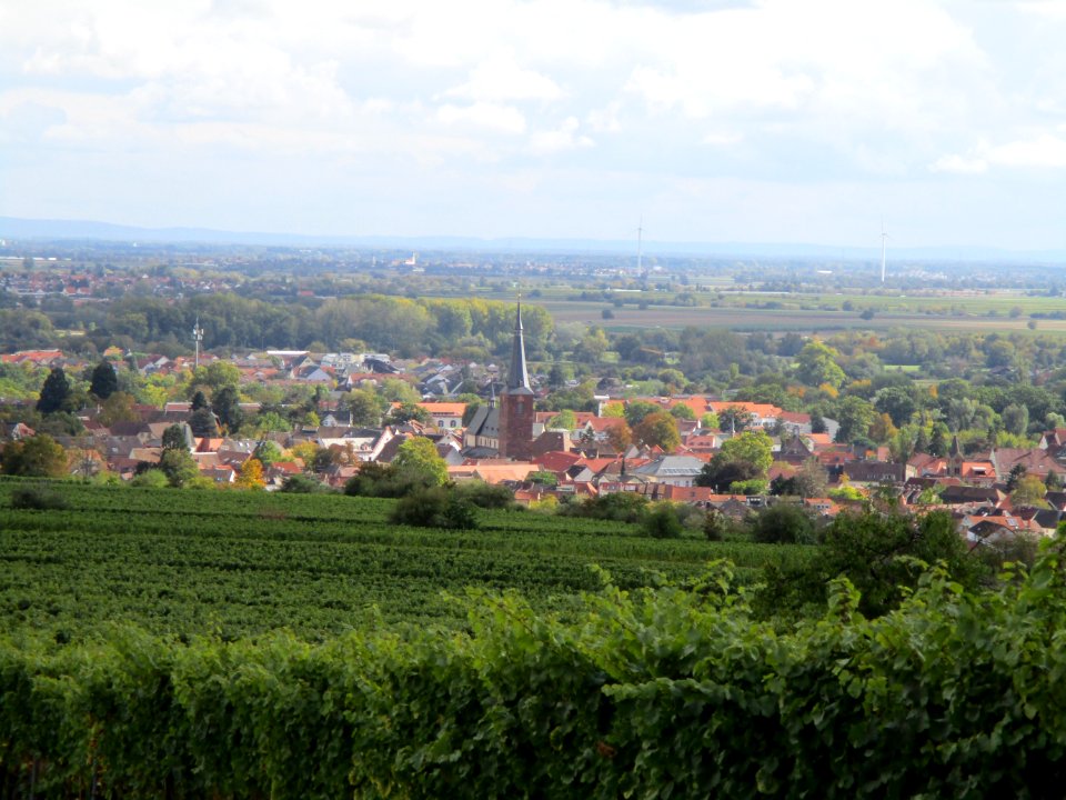 20201010Kieselberg_Deidesheim_3