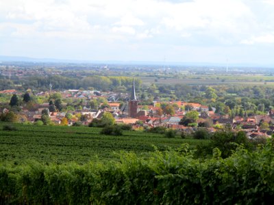20201010Kieselberg_Deidesheim_3