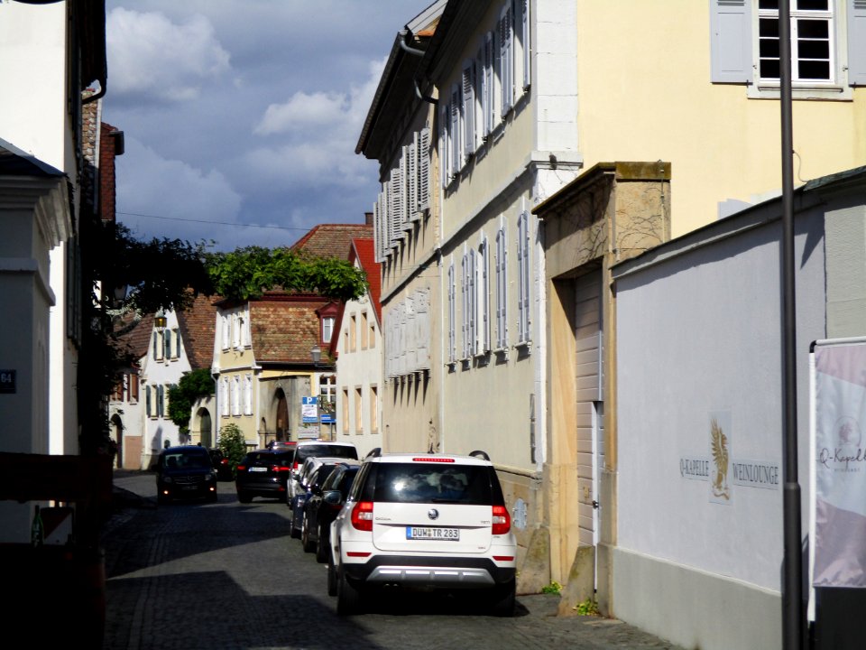 20201011Weinstraße_Forst1