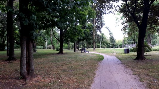 20200729_191930_Park_Centralny_in_Białystok
