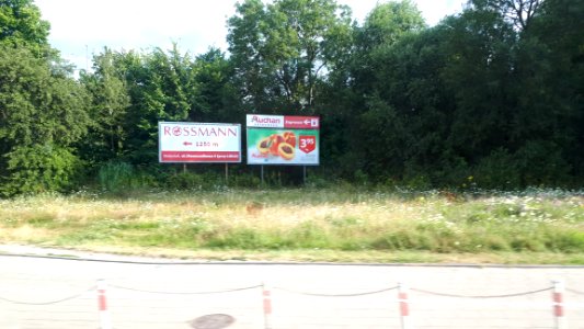 20200730_080407_July_2020_in_Białystok