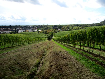 20201010Leihöhle_Deidesheim_1