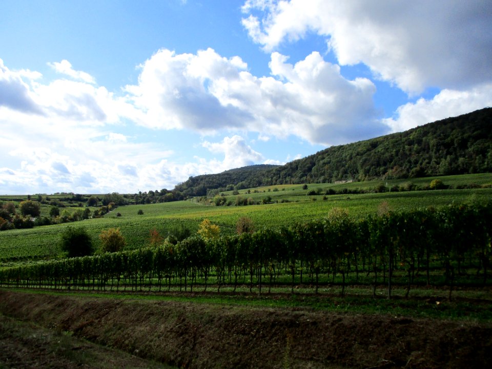 20201010Leinhöhle_Langenmorgen_Deidesheim