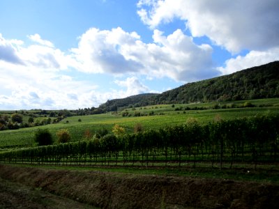 20201010Leinhöhle_Langenmorgen_Deidesheim