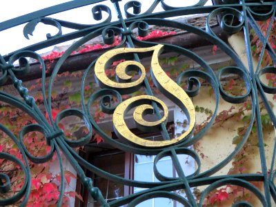 20201010Weingut_Heinrich_Spindler_Forst4