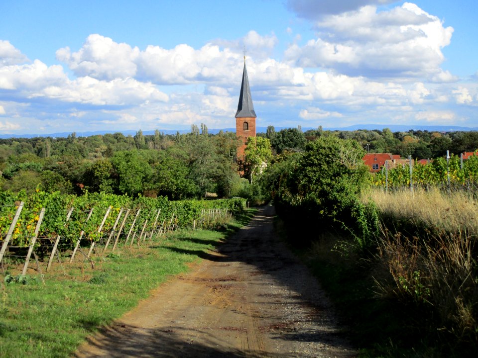 20201010Kirchenstück_Forst3