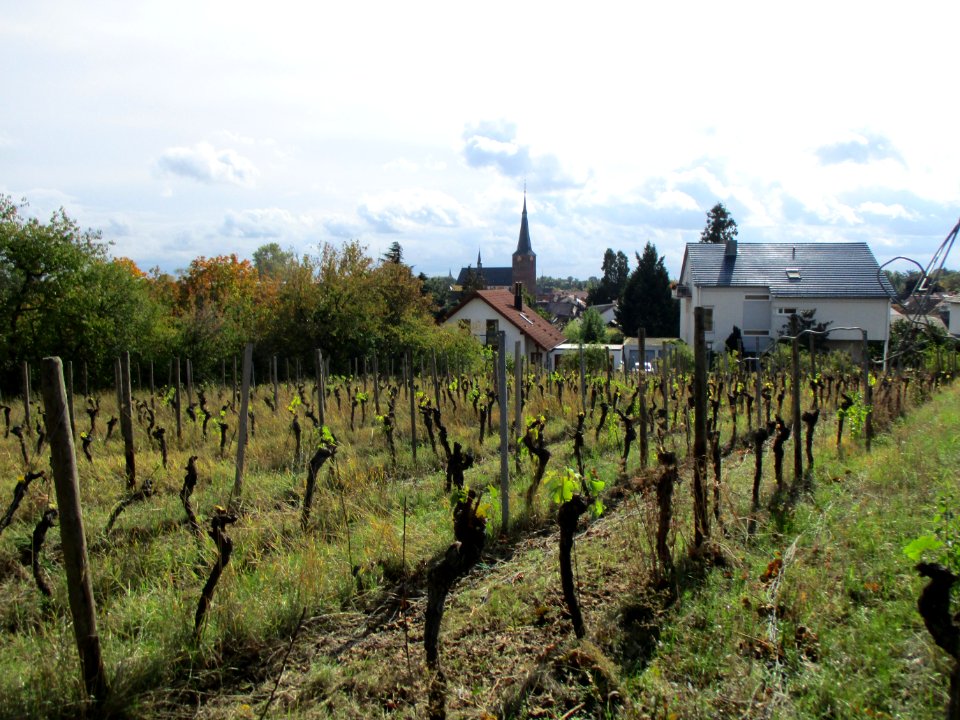 20201010Leinhöhle_Deidesheim