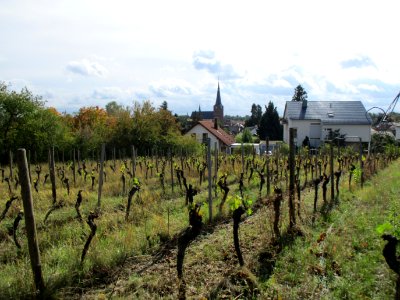 20201010Leinhöhle_Deidesheim
