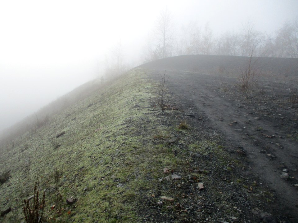 20201127Bergehalde_Göttelborn01