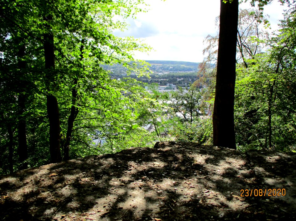 20200823Sonnenberg1