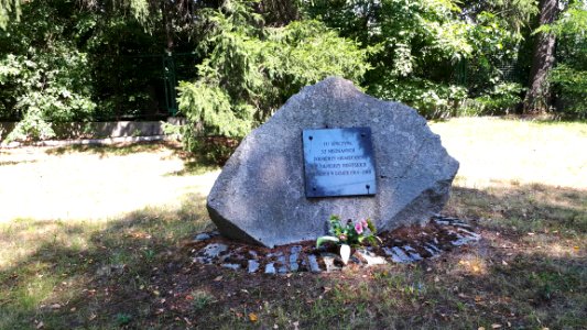 20200728_130752_Hajnówka
