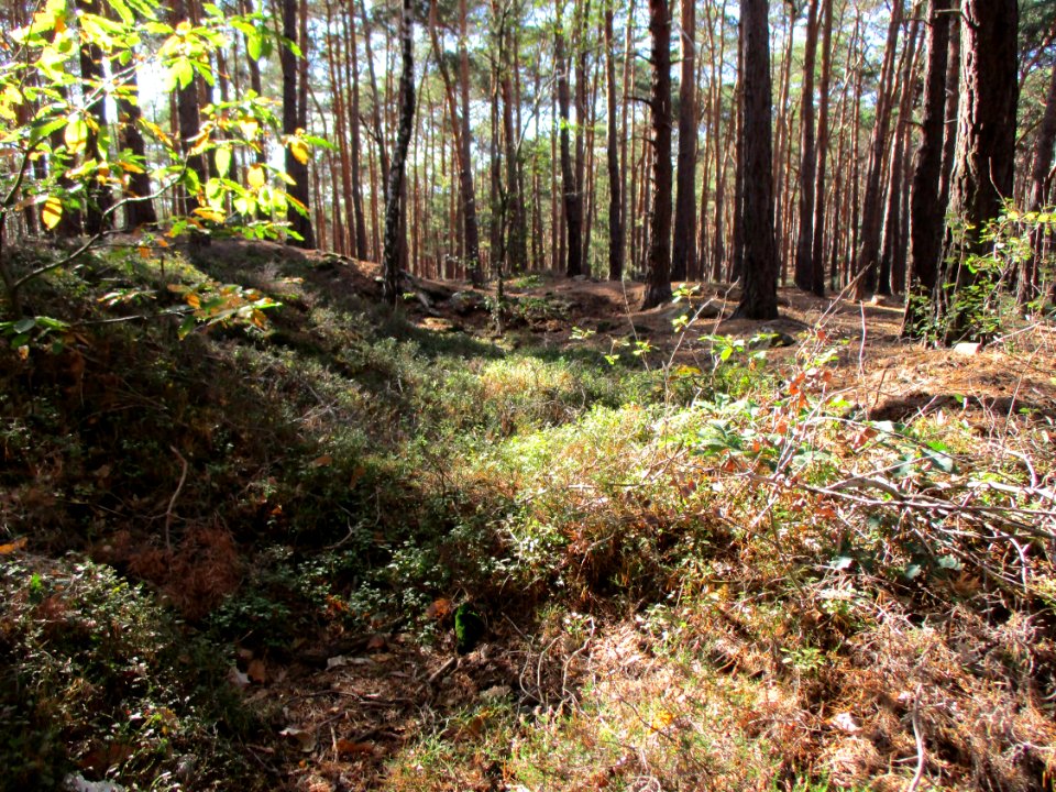 20201010Heidenlöcher12
