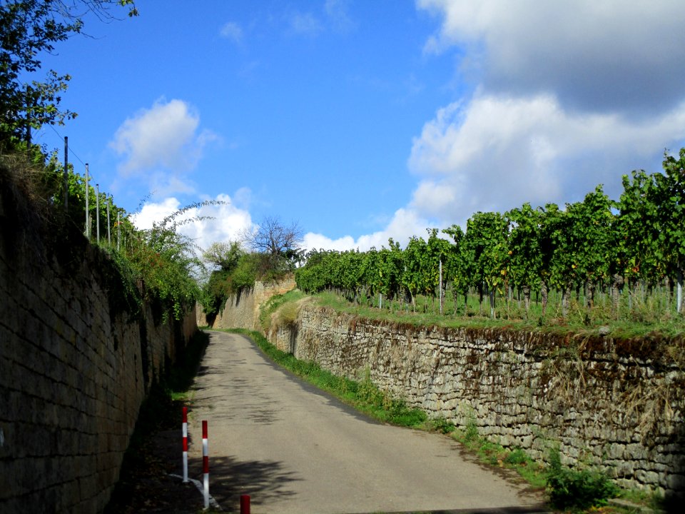 20201010Grainhübel_Hohenmorgen_Deidesheim