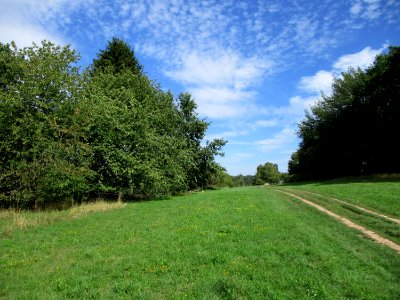 20200904Güdingen