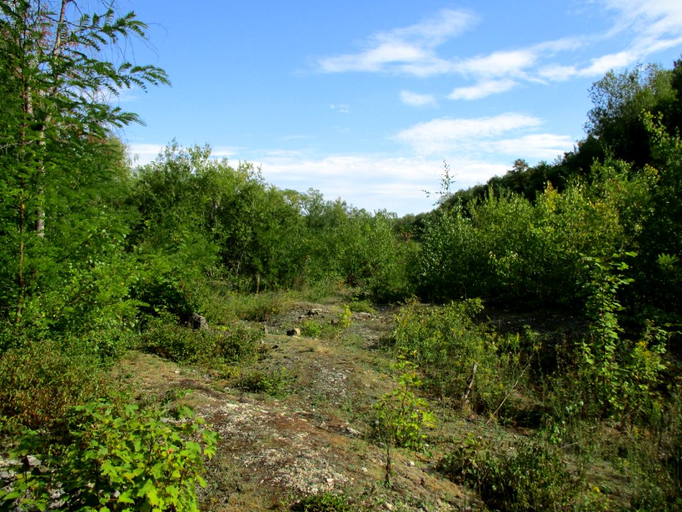 20200904Birzberg4
